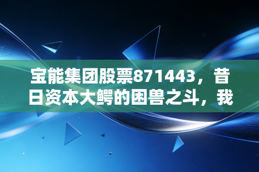 宝能集团股票871443,昔日资本大鳄的困兽之斗,我们还能相信造富神话吗?