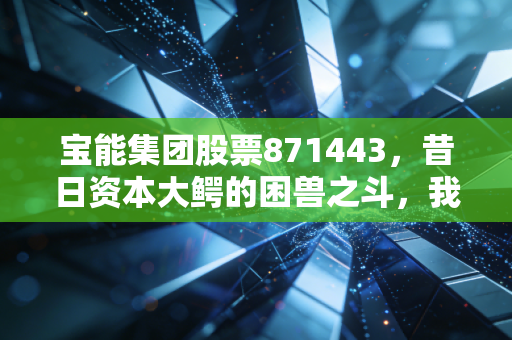 宝能集团股票871443,昔日资本大鳄的困兽之斗,我们还能相信造富神话吗?