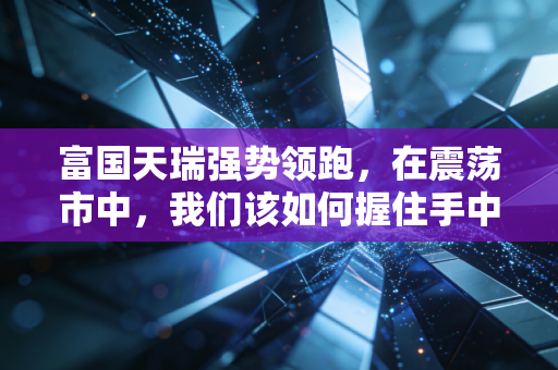 富国天瑞强势领跑,在震荡市中,我们该如何握住手中的压舱石?