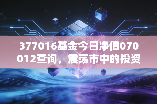 377016基金今日净值070012查询,震荡市中的投资体检,我们该如何守住钱袋子?