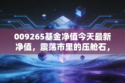 009265基金净值今天最新净值,震荡市里的压舱石,深度拆解广发均衡优选的投资智慧