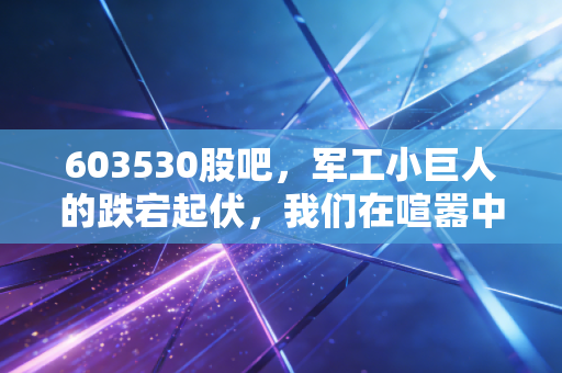 603530股吧，军工小巨人的跌宕起伏，我们在喧嚣中寻找什么？