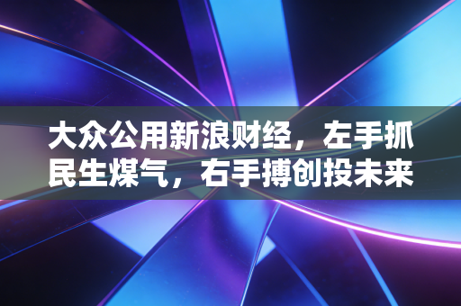 大众公用新浪财经,左手抓民生煤气,右手搏创投未来,这只隐形冠军还能香多久?