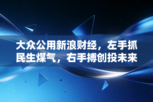 大众公用新浪财经,左手抓民生煤气,右手搏创投未来,这只隐形冠军还能香多久?