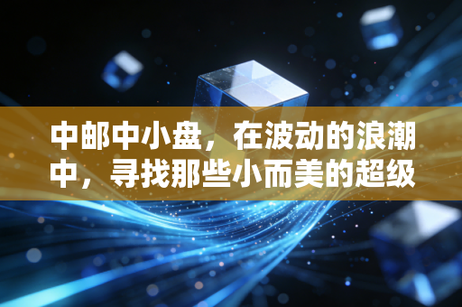 中邮中小盘,在波动的浪潮中,寻找那些小而美的超级成长股