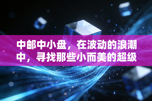 中邮中小盘,在波动的浪潮中,寻找那些小而美的超级成长股