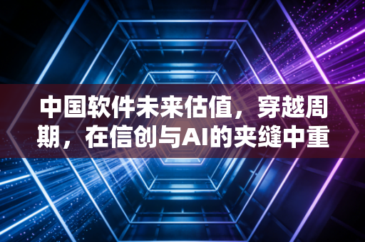 中国软件未来估值，穿越周期，在信创与AI的夹缝中重塑价值坐标