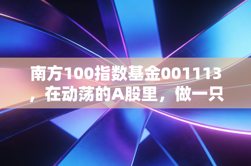 南方100指数基金001113,在动荡的A股里,做一只笨且幸福的长期主义者