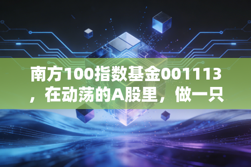 南方100指数基金001113,在动荡的A股里,做一只笨且幸福的长期主义者