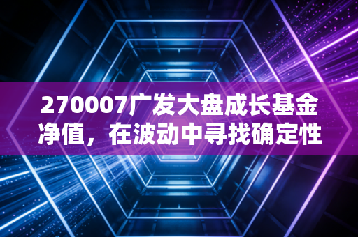 270007广发大盘成长基金净值,在波动中寻找确定性,老牌基民的爱恨情仇