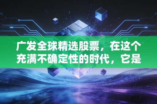 广发全球精选股票,在这个充满不确定性的时代,它是我们通往世界的门票吗?