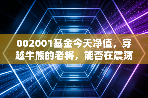 002001基金今天净值,穿越牛熊的老将,能否在震荡市中给你稳稳的幸福?