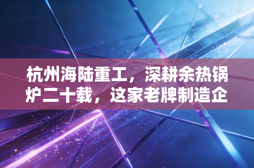 杭州海陆重工,深耕余热锅炉二十载,这家老牌制造企业的第二春究竟在哪里?