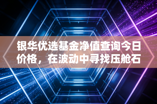 银华优选基金净值查询今日价格,在波动中寻找压舱石的长期智慧