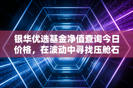 银华优选基金净值查询今日价格,在波动中寻找压舱石的长期智慧