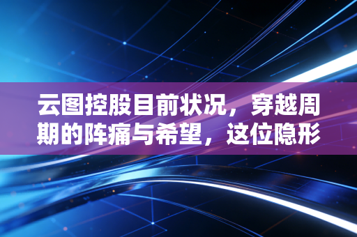 云图控股目前状况,穿越周期的阵痛与希望,这位隐形冠军还能打吗?