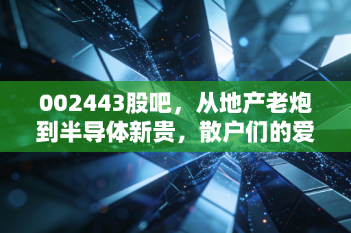 002443股吧，从地产老炮到半导体新贵，散户们的爱恨情仇与未来博弈