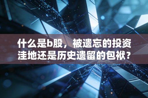 什么是b股,被遗忘的投资洼地还是历史遗留的包袱?