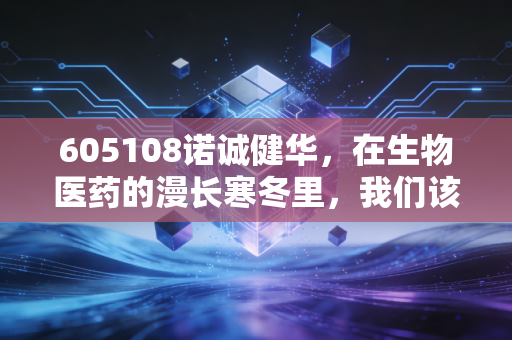 605108诺诚健华,在生物医药的漫长寒冬里,我们该如何期待一场春暖花开?