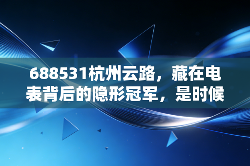 688531杭州云路,藏在电表背后的隐形冠军,是时候重估它的含金量了吗?