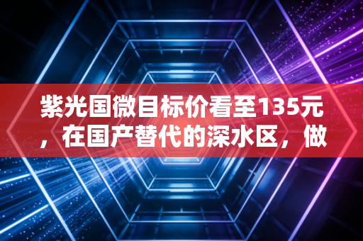 紫光国微目标价看至135元，在国产替代的深水区，做时间的朋友