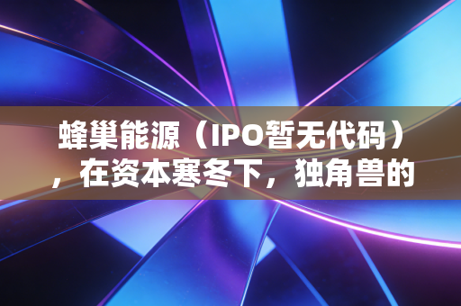 蜂巢能源(IPO暂无代码),在资本寒冬下,独角兽的短刀还能否刺破迷雾?