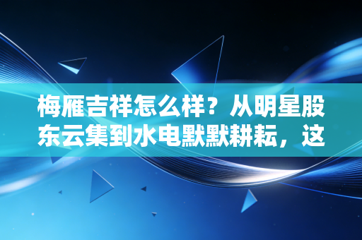 梅雁吉祥怎么样?从明星股东云集到水电默默耕耘,这只老牌上市股还值得守候吗?