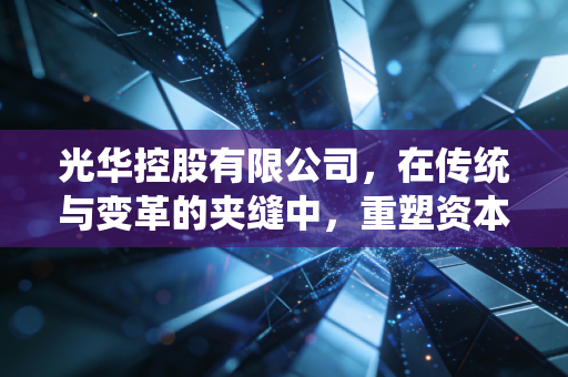 光华控股有限公司,在传统与变革的夹缝中,重塑资本价值的深度思考
