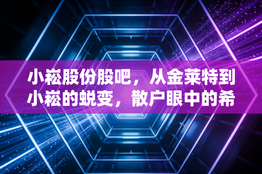 小崧股份股吧，从金莱特到小崧的蜕变，散户眼中的希望与迷茫
