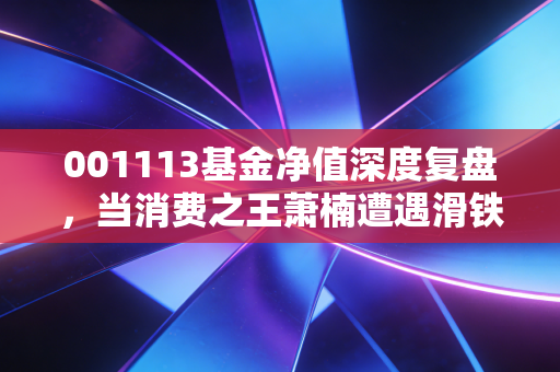001113基金净值深度复盘,当消费之王萧楠遭遇滑铁卢,我们该割肉还是死扛?