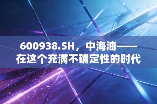 600938.SH，中海油——在这个充满不确定性的时代，它是我们投资组合里的压舱石吗？
