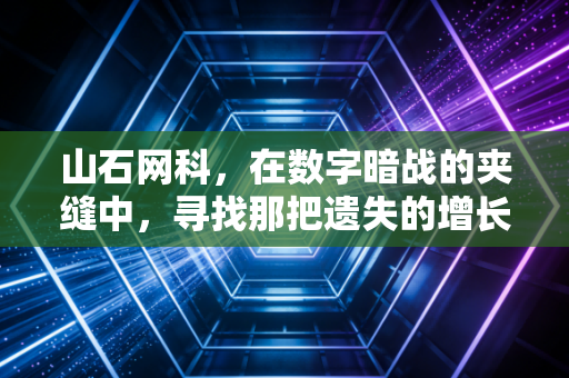 山石网科,在数字暗战的夹缝中,寻找那把遗失的增长金钥匙
