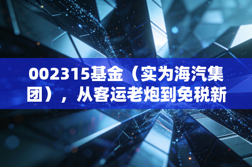 002315基金(实为海汽集团),从客运老炮到免税新贵,这只海南概念股还能上车吗?