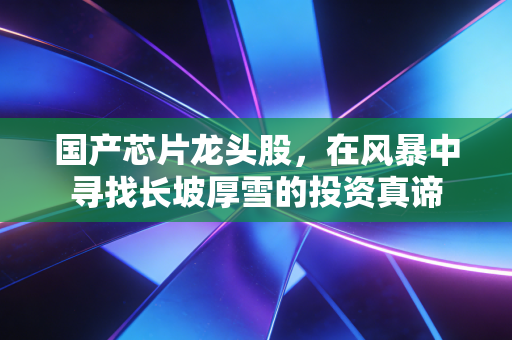 国产芯片龙头股，在风暴中寻找长坡厚雪的投资真谛