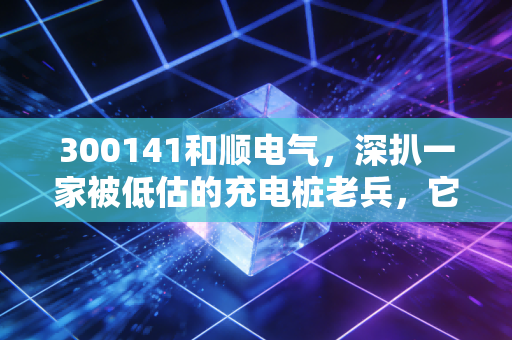 300141和顺电气,深扒一家被低估的充电桩老兵,它还能跟上新能源的狂飙时代吗?