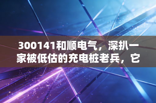 300141和顺电气,深扒一家被低估的充电桩老兵,它还能跟上新能源的狂飙时代吗?