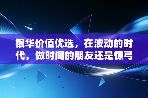 银华价值优选,在波动的时代,做时间的朋友还是惊弓之鸟?
