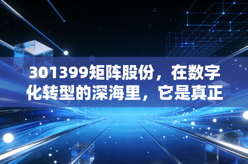301399矩阵股份,在数字化转型的深海里,它是真正的捕鱼人还是仅仅是泡沫?