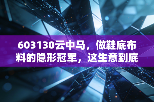 603130云中马，做鞋底布料的隐形冠军，这生意到底香不香？