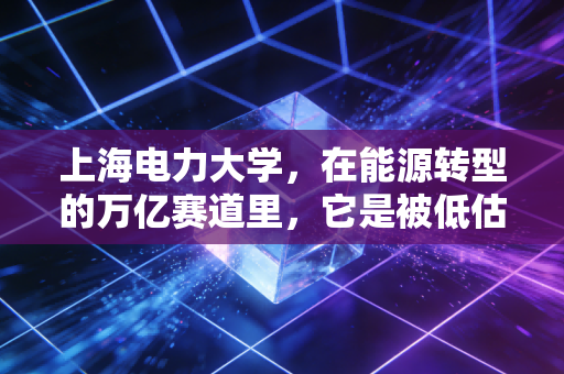 上海电力大学，在能源转型的万亿赛道里，它是被低估的硬通货