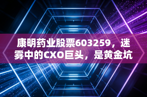 康明药业股票603259，迷雾中的CXO巨头，是黄金坑还是深渊口？