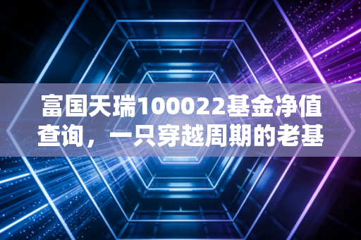 富国天瑞100022基金净值查询，一只穿越周期的老基金，还能否承载我们的财富梦想？