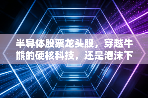 半导体股票龙头股，穿越牛熊的硬核科技，还是泡沫下的美丽幻影？