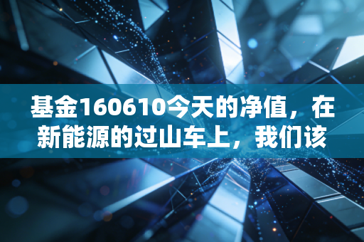 基金160610今天的净值，在新能源的过山车上，我们该如何安放焦虑？