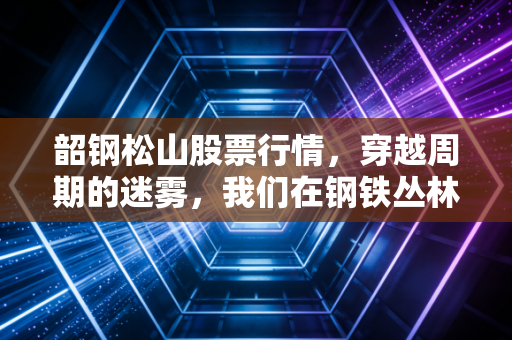韶钢松山股票行情，穿越周期的迷雾，我们在钢铁丛林里寻找什么？