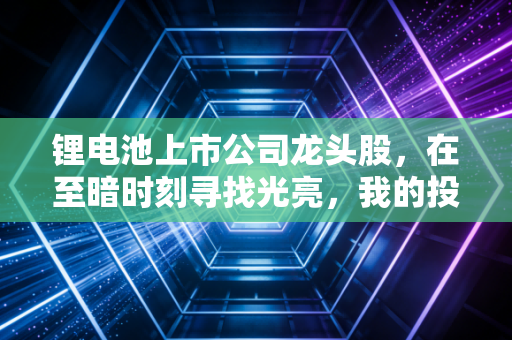 锂电池上市公司龙头股，在至暗时刻寻找光亮，我的投资逻辑与实战复盘