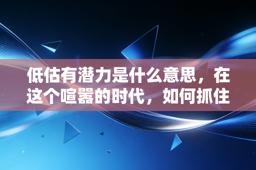 低估有潜力是什么意思，在这个喧嚣的时代，如何抓住被遗忘的财富密码？