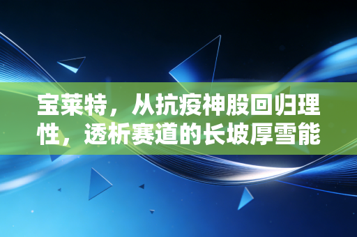 宝莱特，从抗疫神股回归理性，透析赛道的长坡厚雪能否撑起千亿梦想？