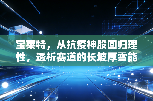 宝莱特，从抗疫神股回归理性，透析赛道的长坡厚雪能否撑起千亿梦想？