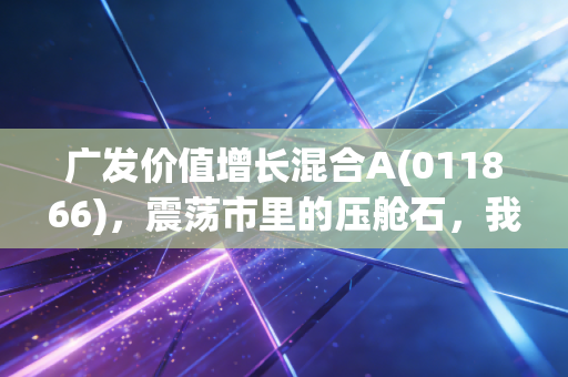 广发价值增长混合A(011866)，震荡市里的压舱石，我们该如何看待价值与成长的平衡？